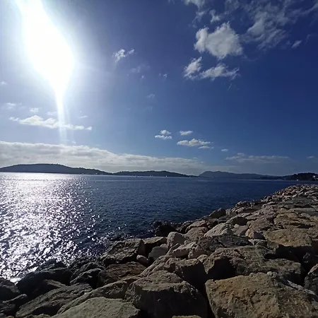 Greenpeace - Host Provence