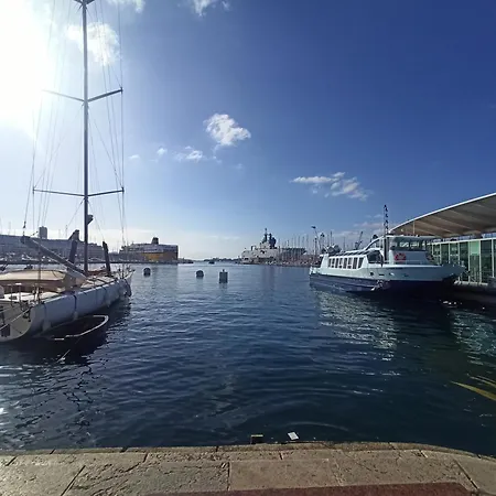 Greenpeace - Host Provence Toulon