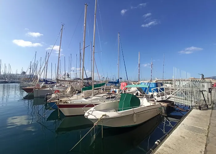 Greenpeace - Host Provence *