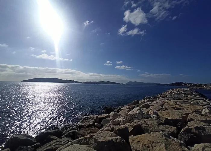 Greenpeace - Host Provence