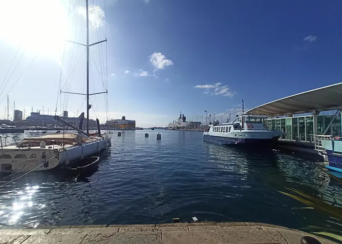 Greenpeace - Host Provence Toulon