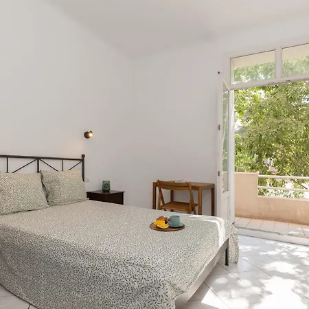 Greenpeace - Host Provence